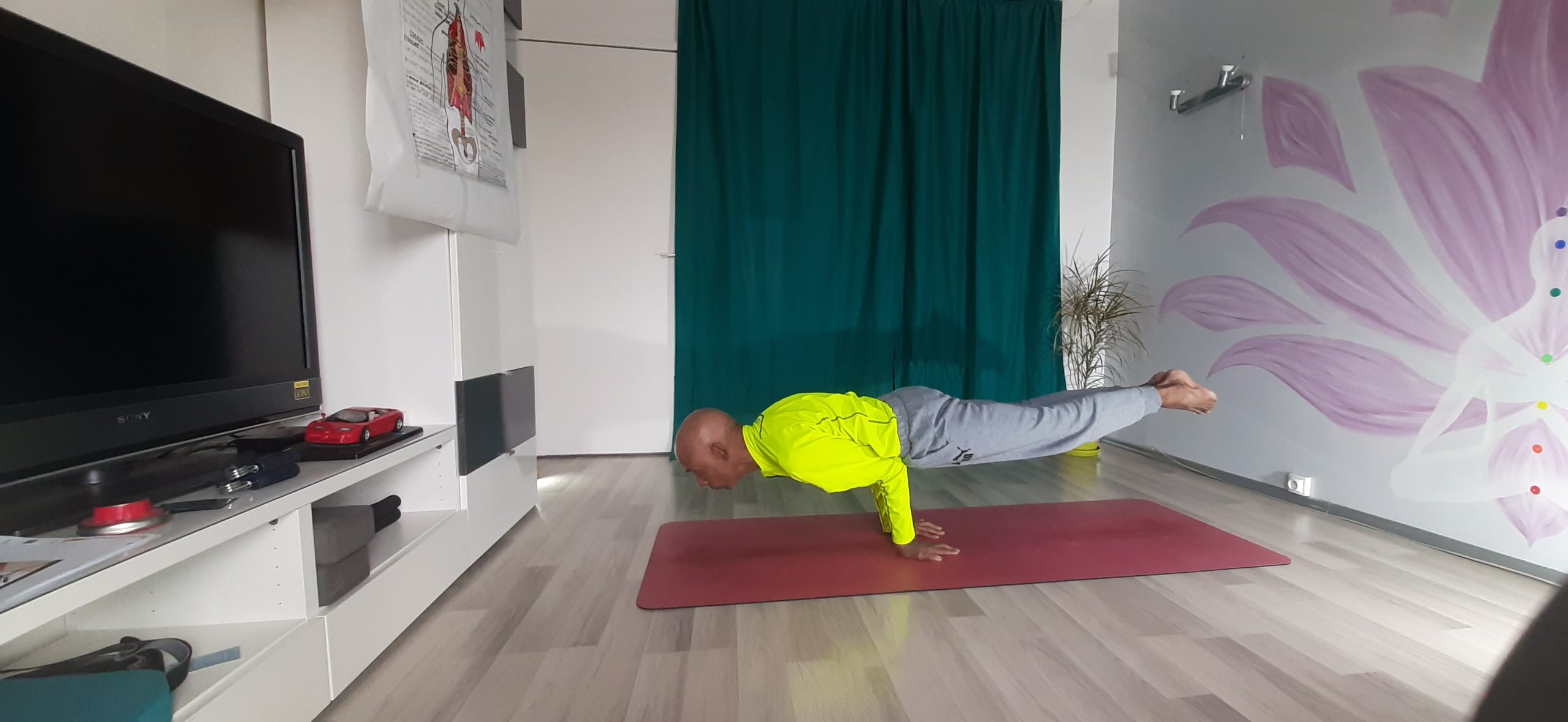 Le paon pour la digestion